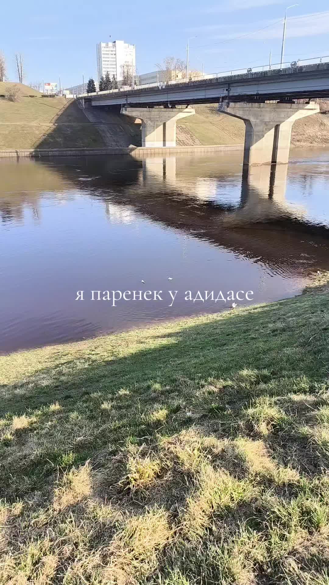 @gerilenko
