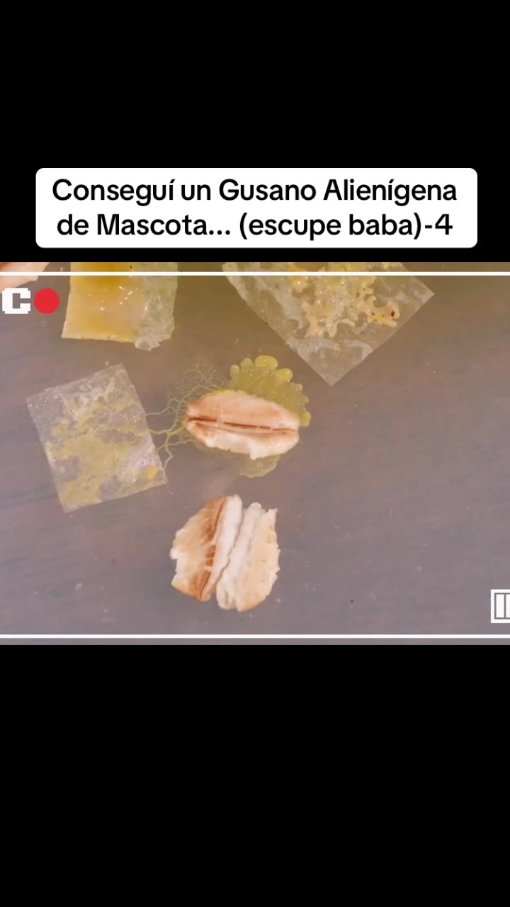 @user4076628818079
