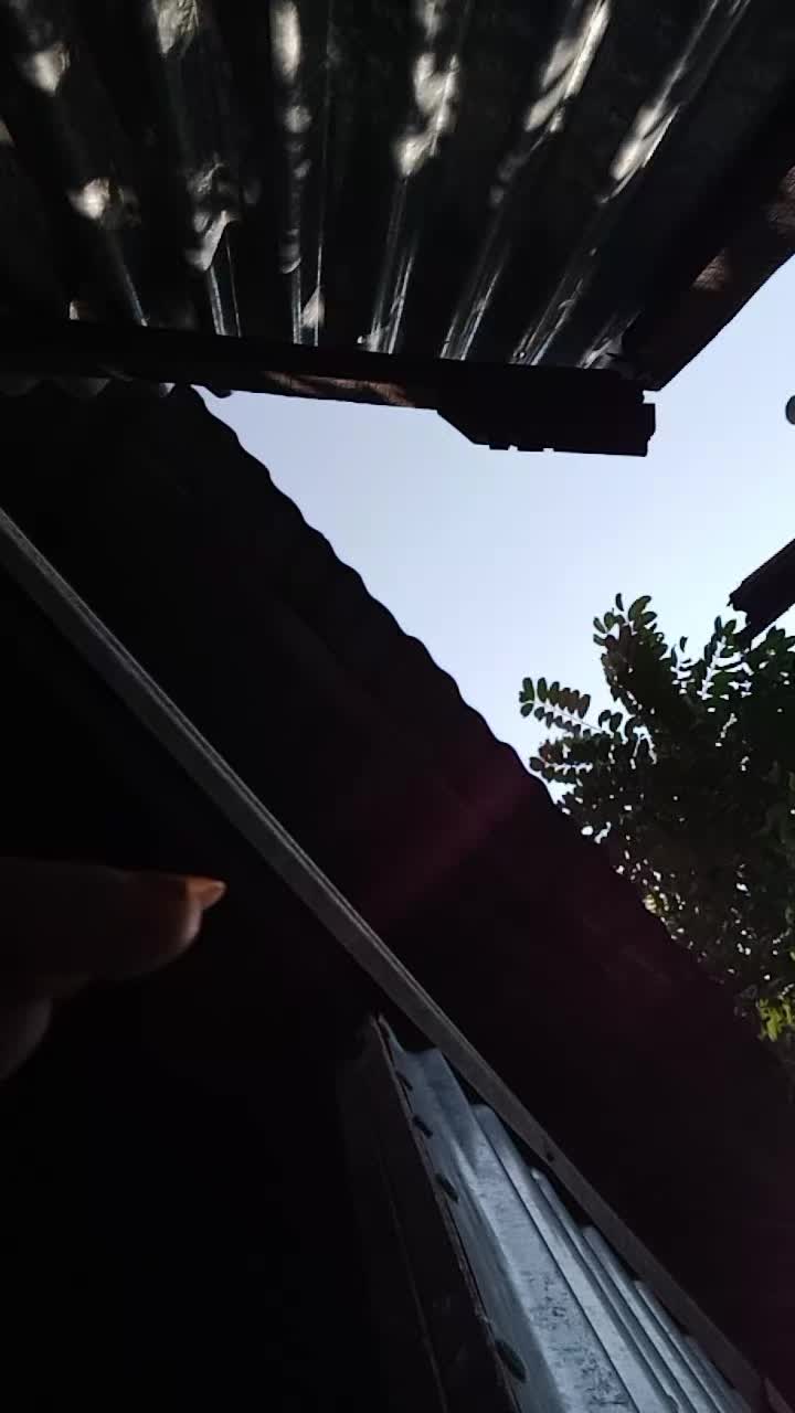 @MST.SUMI. AKTAR .đ