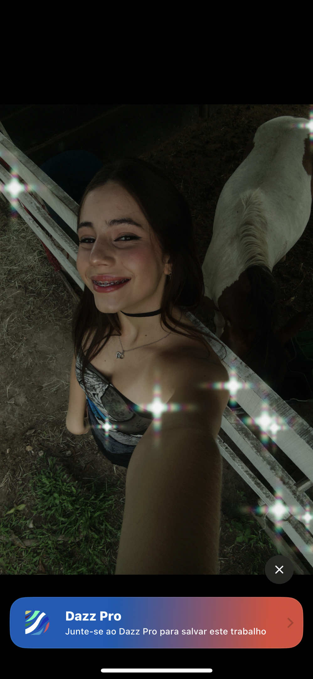 @Carvalho 🦖