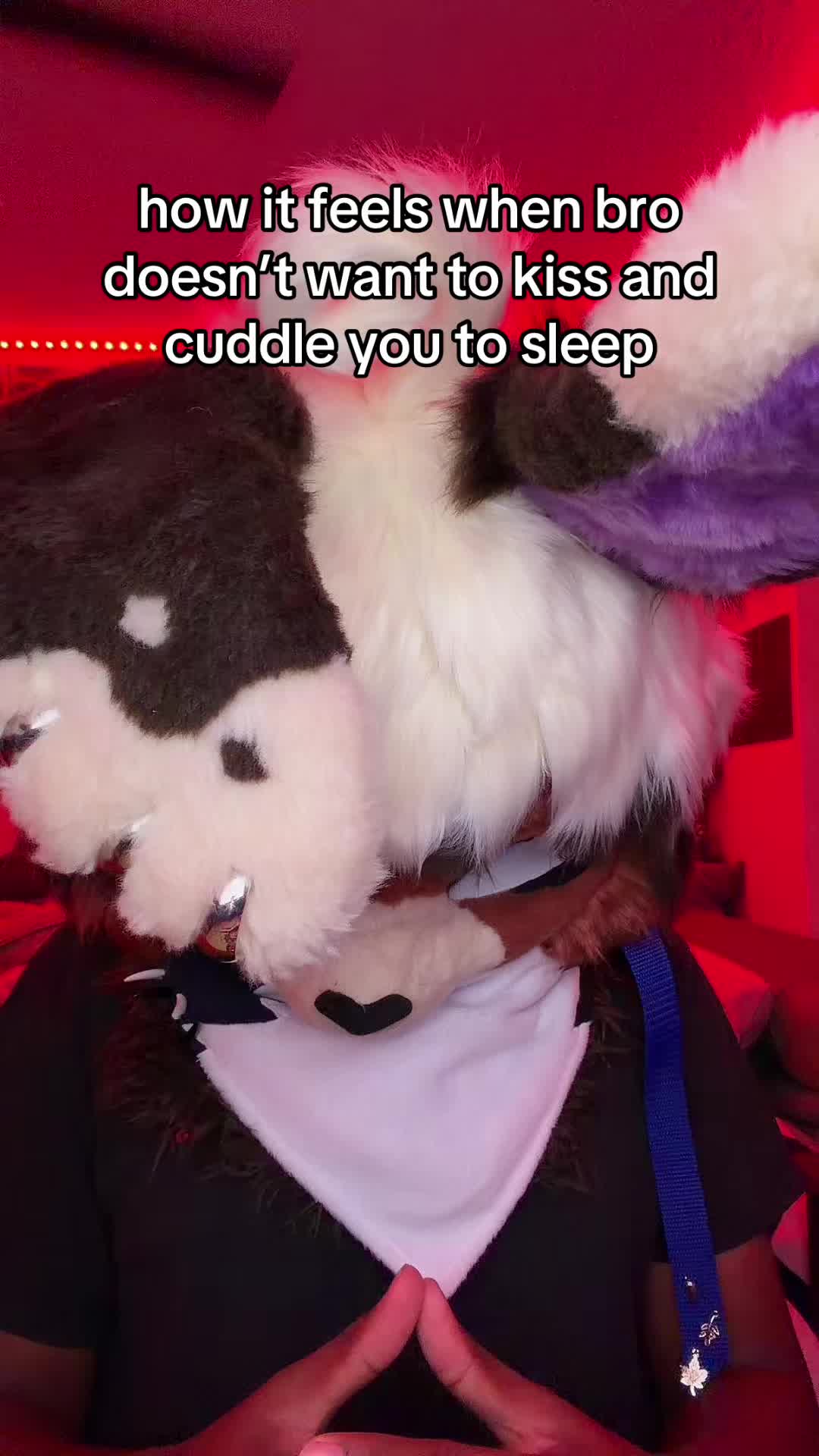 @wai.thebunny