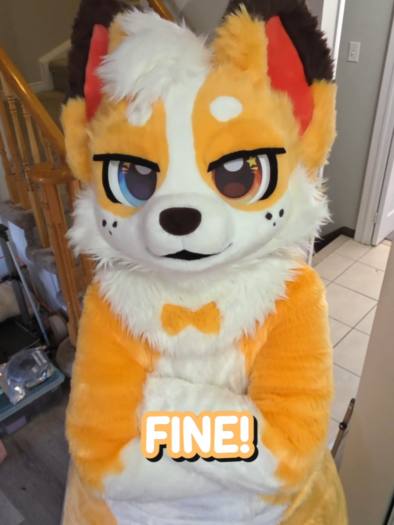 @Corgi