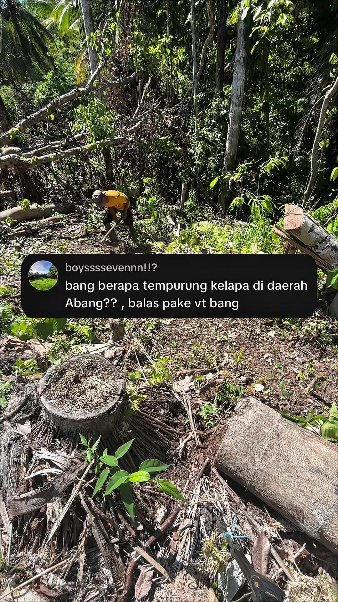 @Ka Bong 🌴