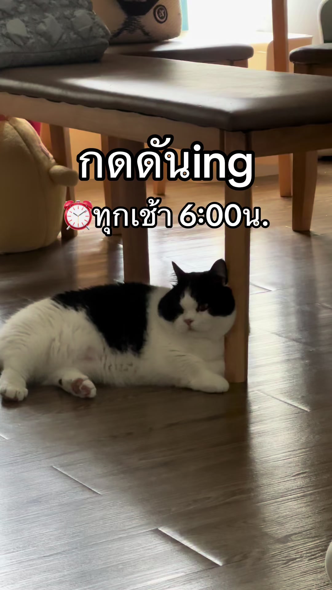 @เยอร์เก้นอยากเป็นดารา