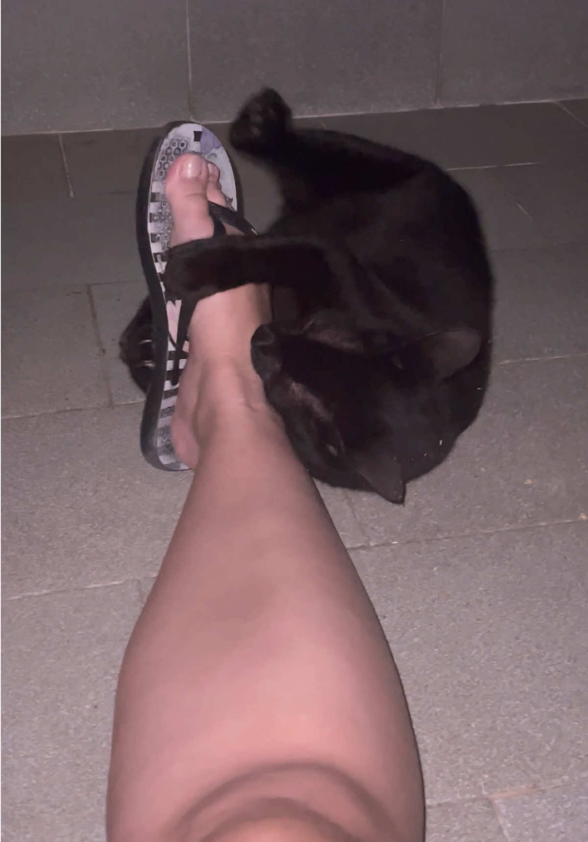 @Thamy