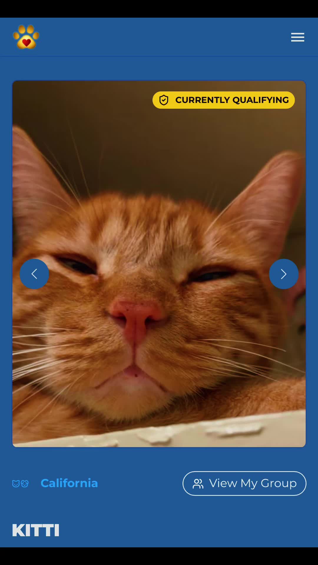 @Chiquito, Coco and the cat