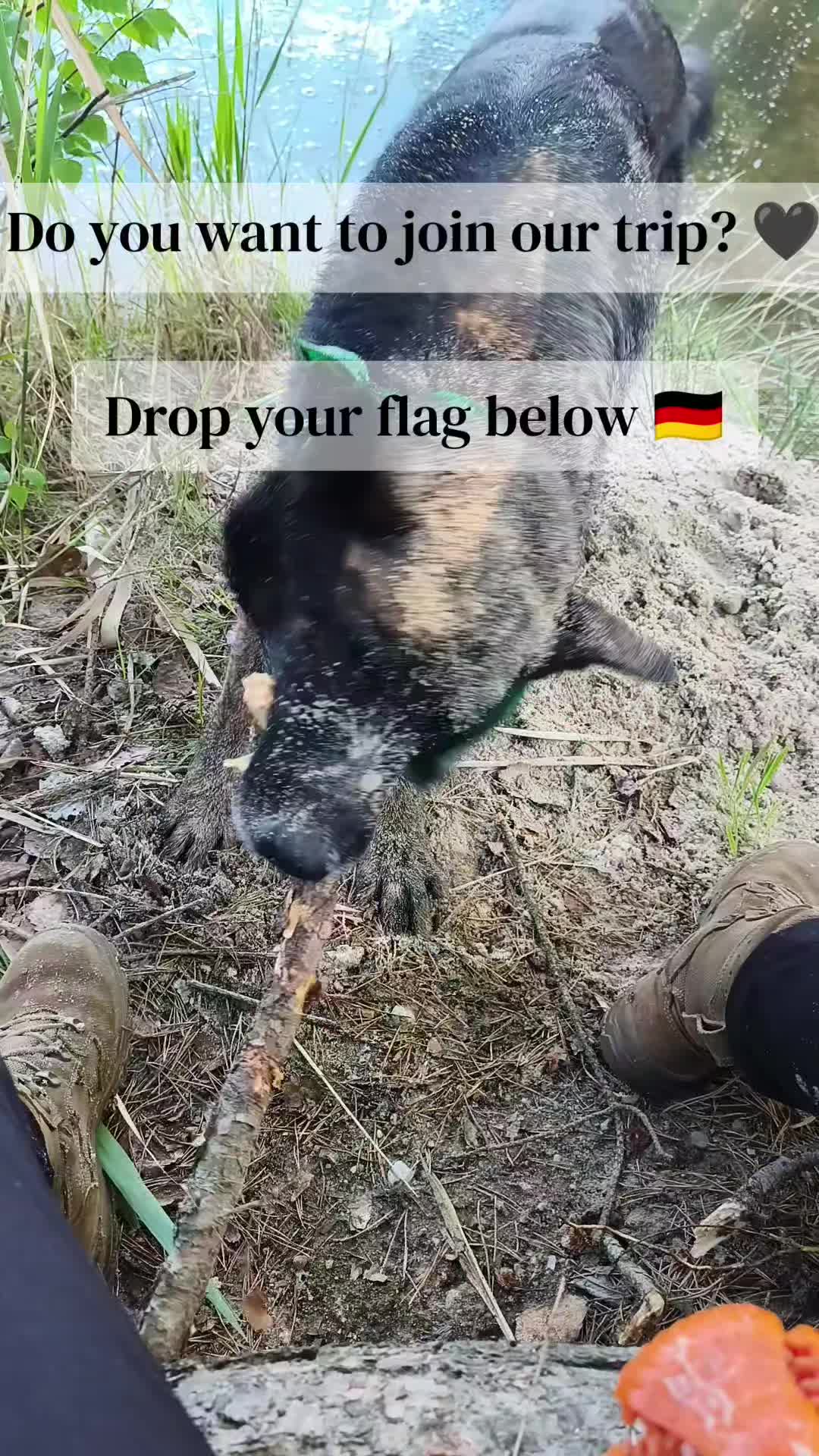 @Anna & Neo 🖤🐾