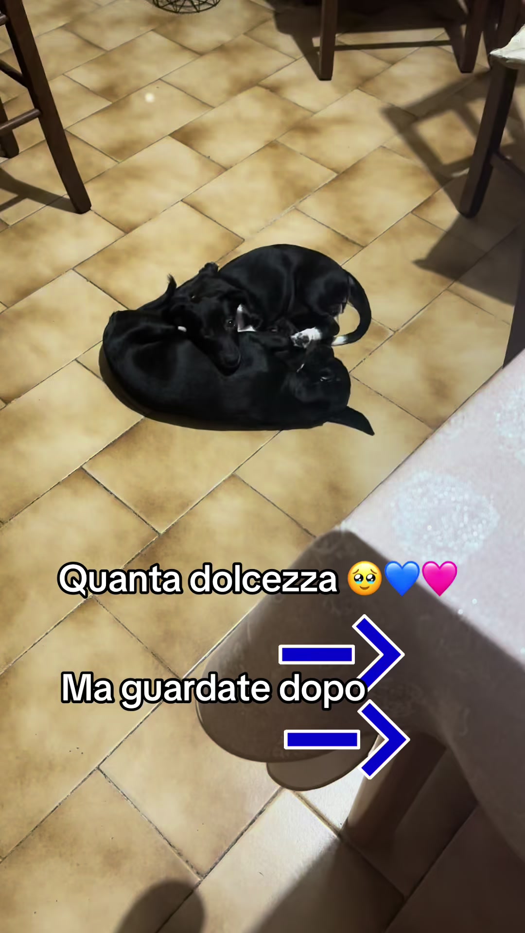 @Carmela Capone