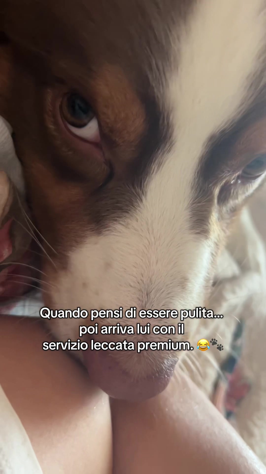 @Noeandfur 🐶🐾