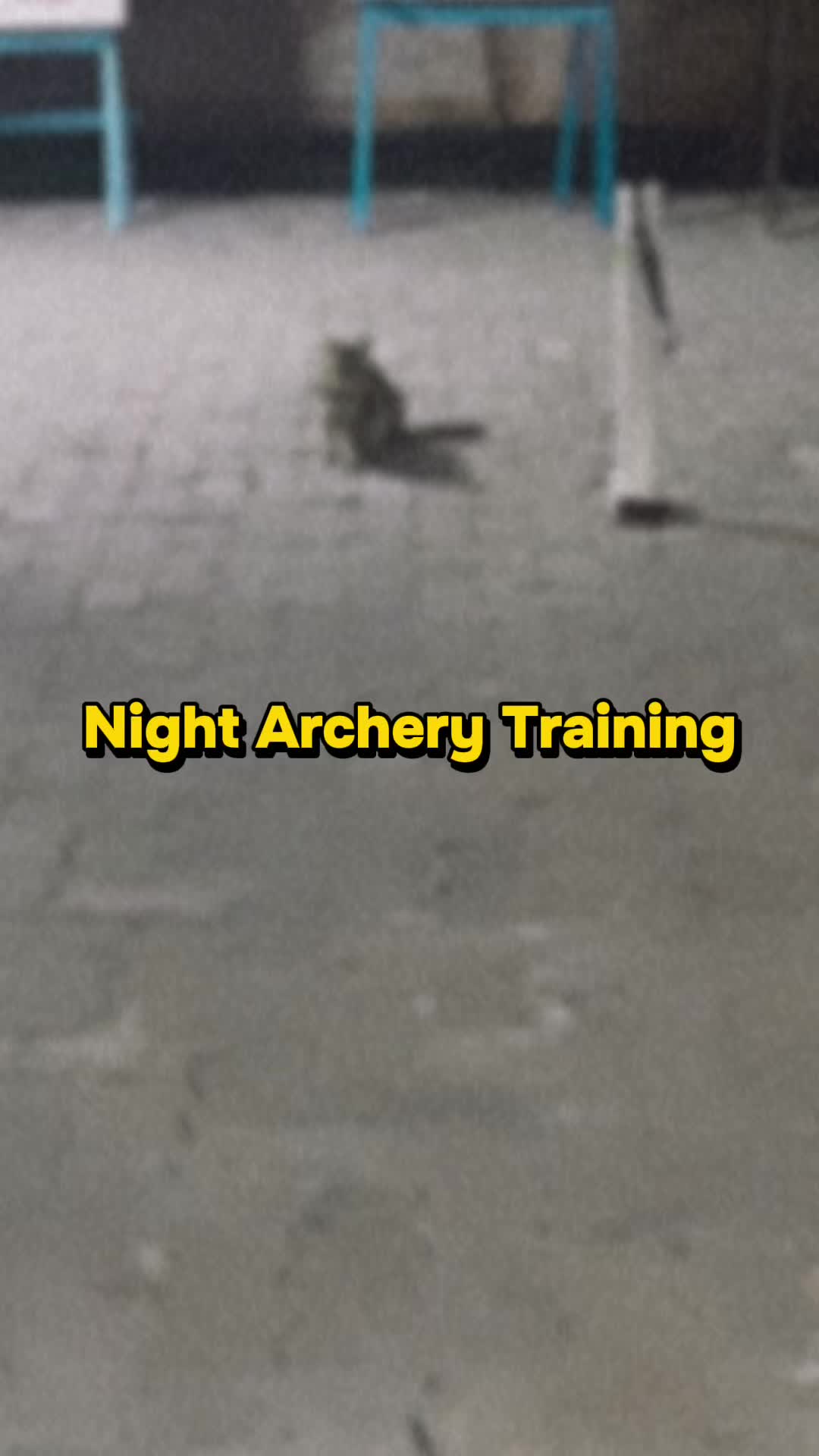 @Archie