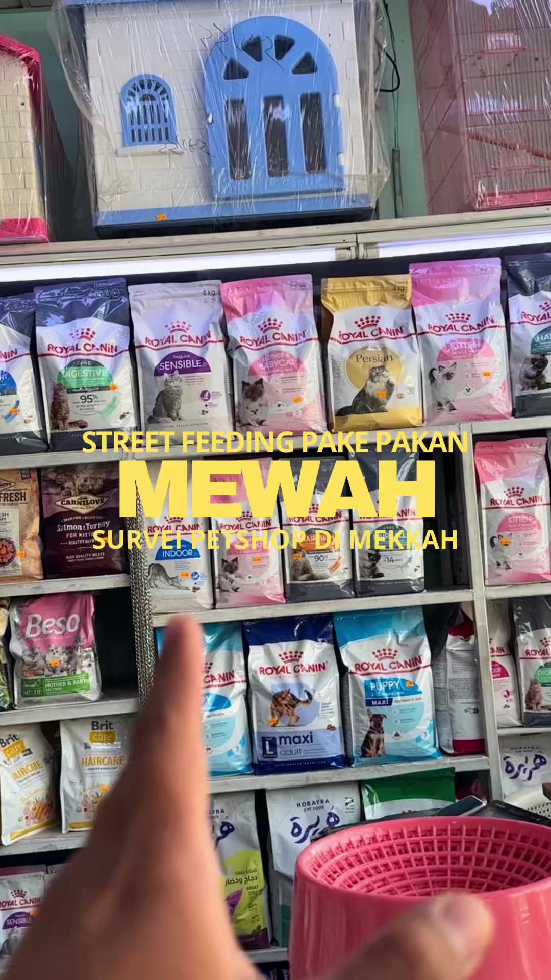 @bejo petmart
