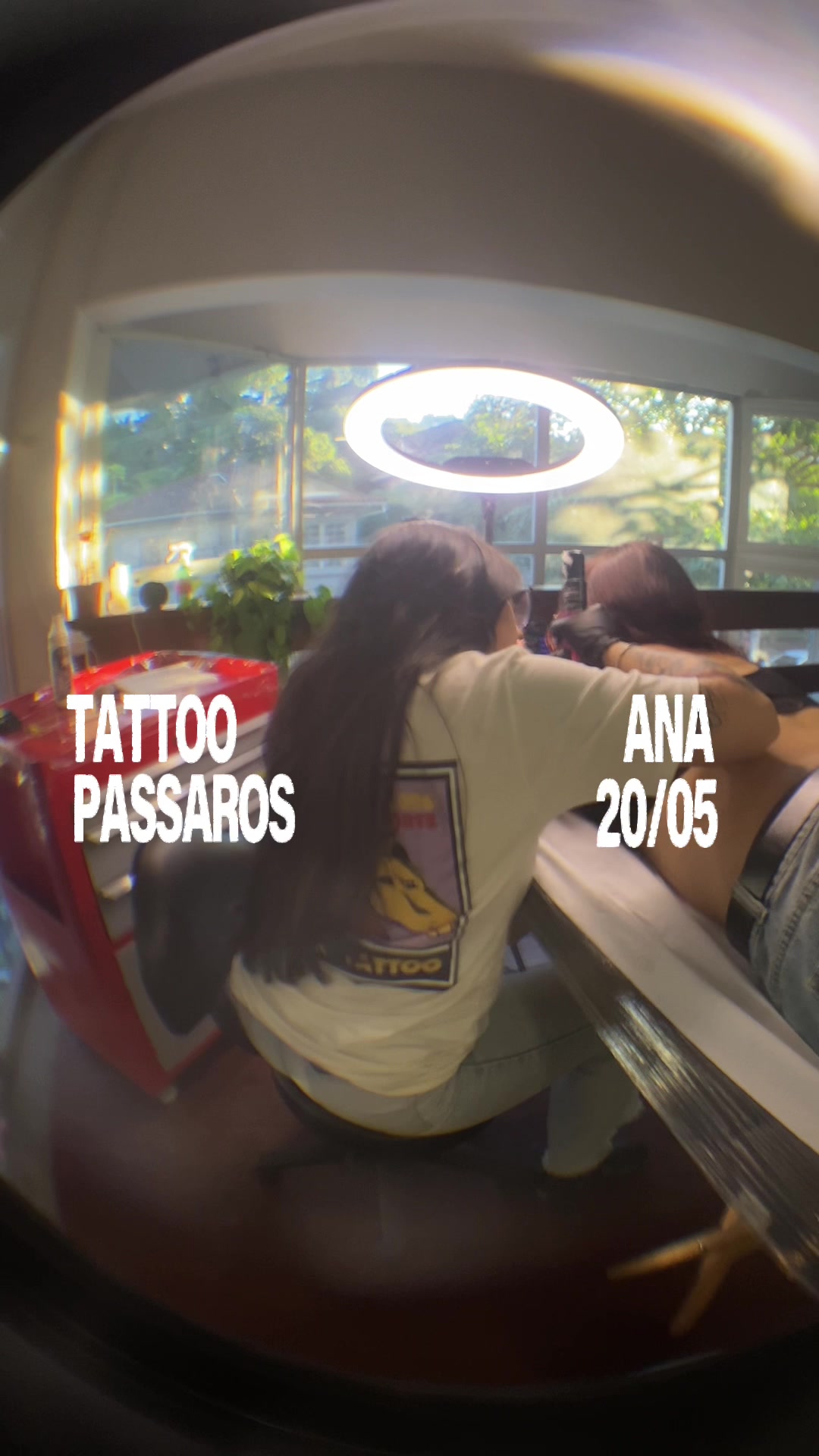 @Maria Franz | Tatuadora