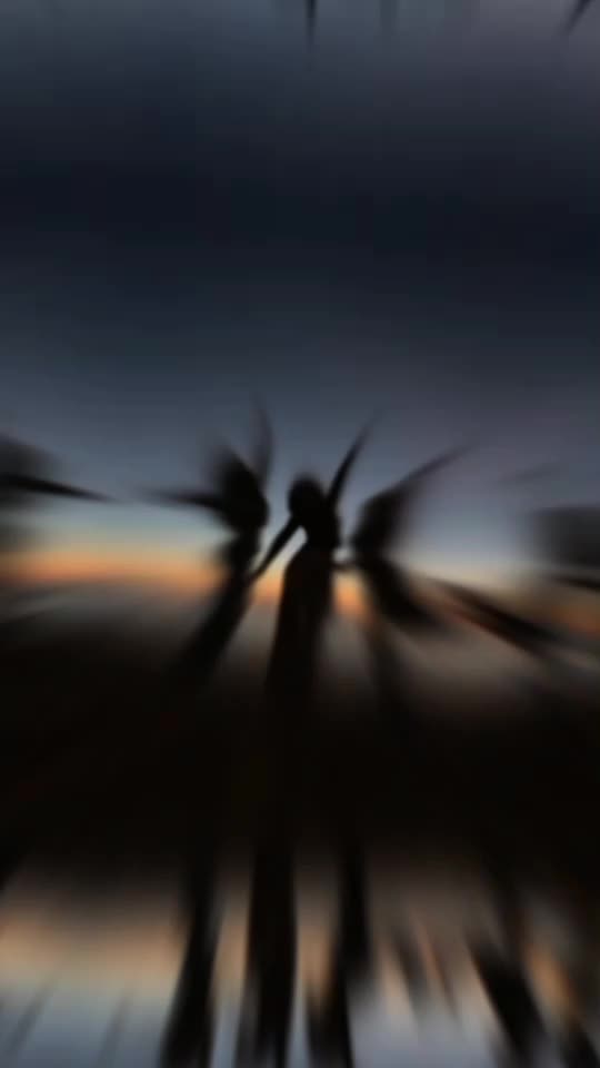 @♠︎ʙʟᴀᴄᴋ ʟᴏᴠᴇʀ♠︎