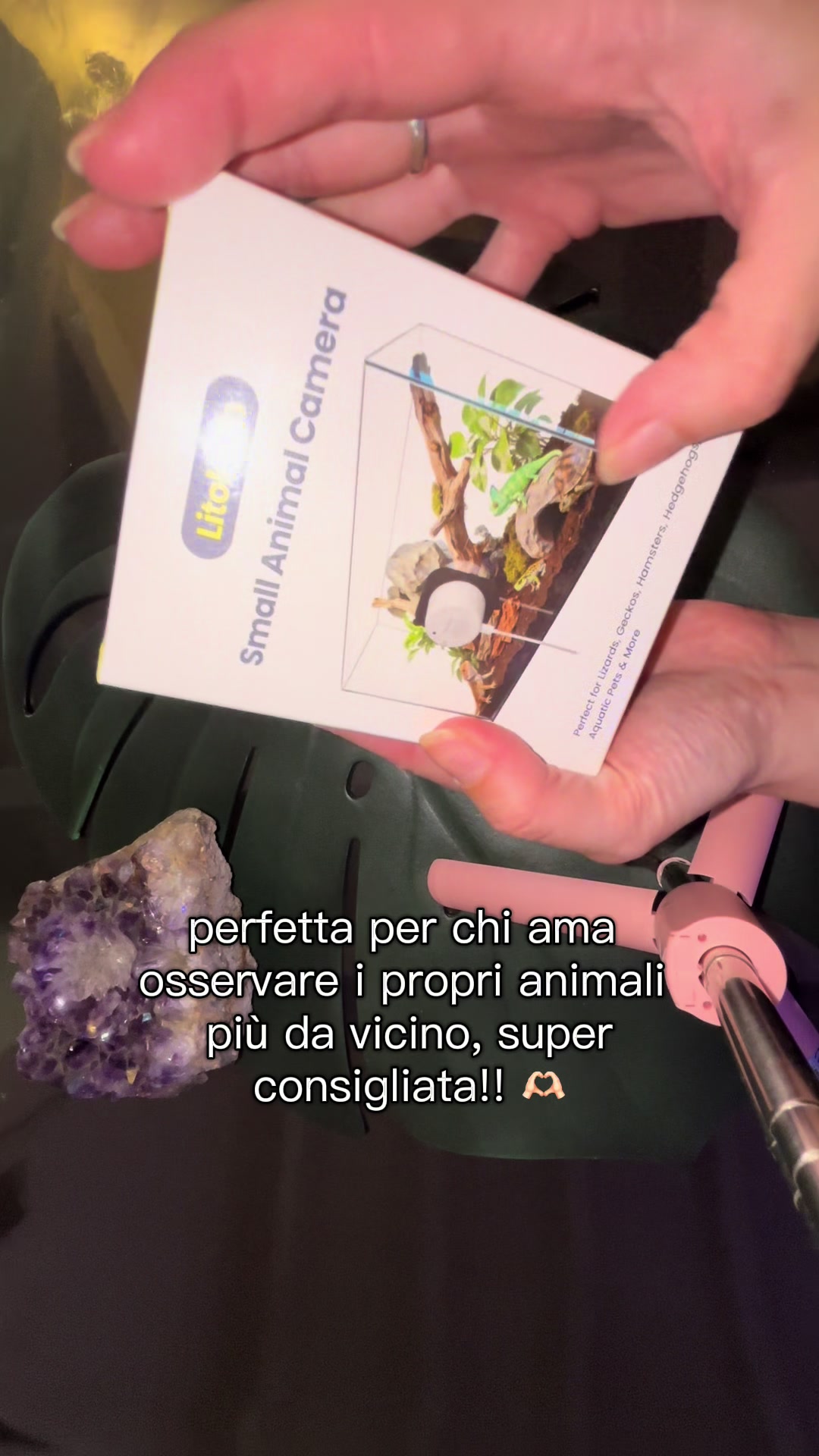 @Martina