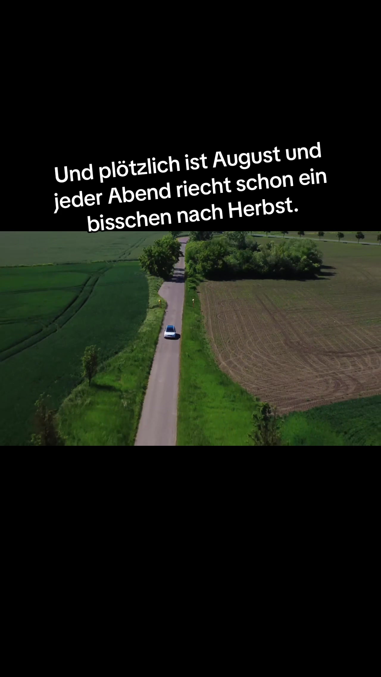 @3bvlkswgn