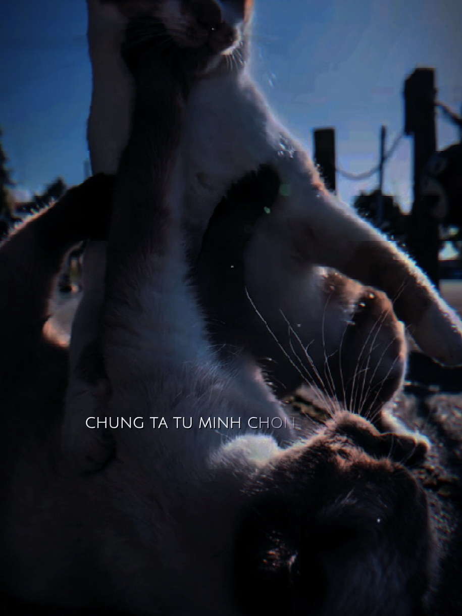 @𝕊𝕔𝕙𝕠𝕠𝕝𝕚𝕟𝕘