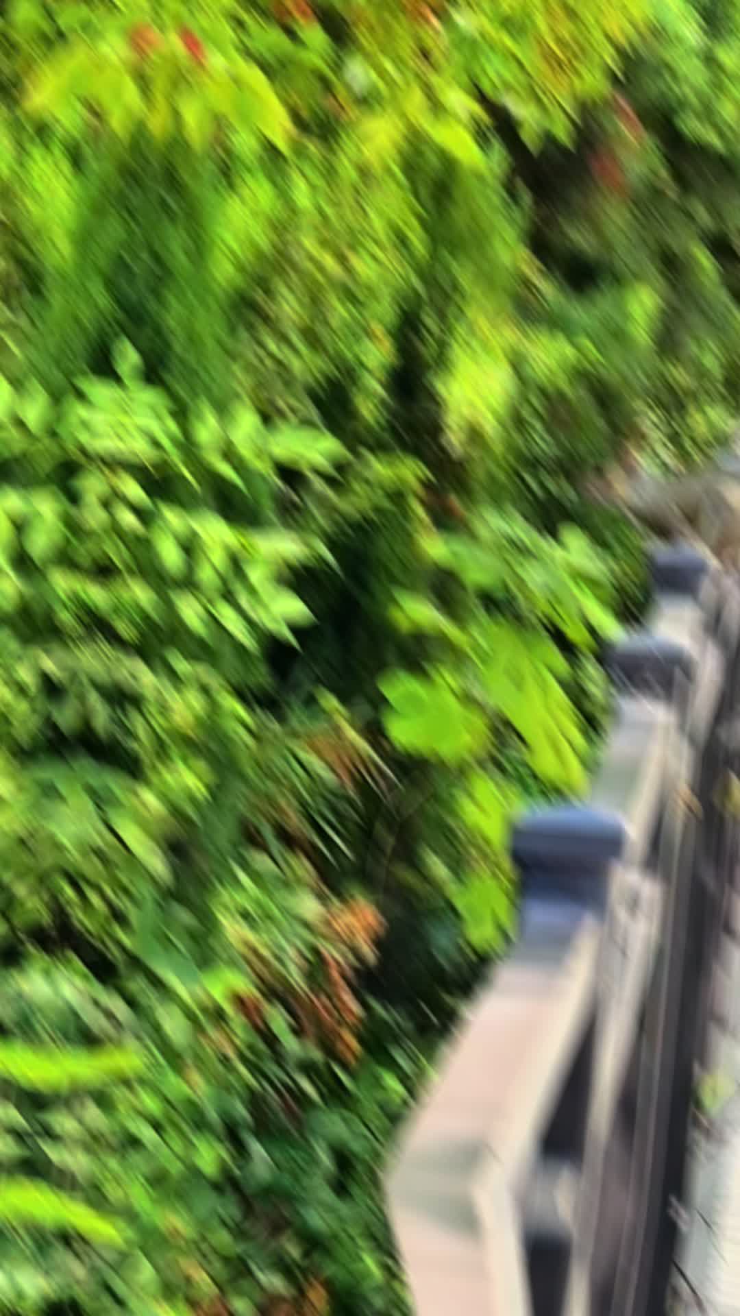 @DailyDoseOfSquirrels