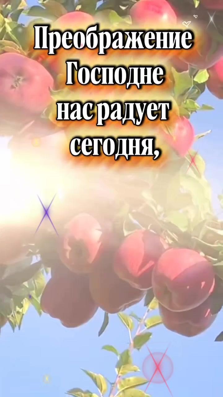 @꧁༺ 𝓝𝓲𝓴𝓪𝓝 ༻꧂