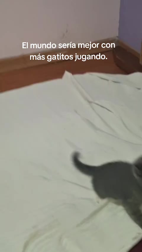 @Merceditas