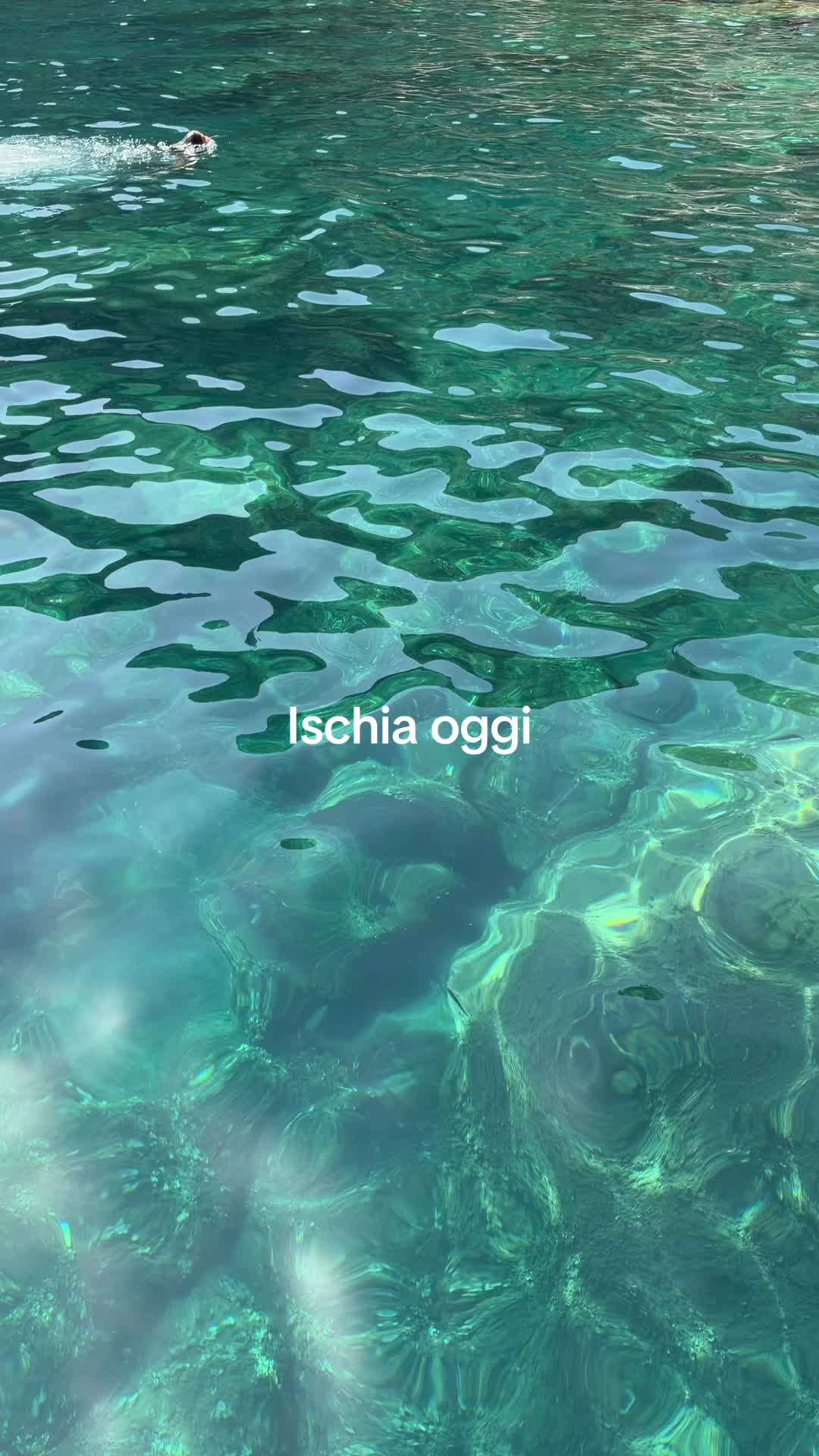 @micheleporcavacca
