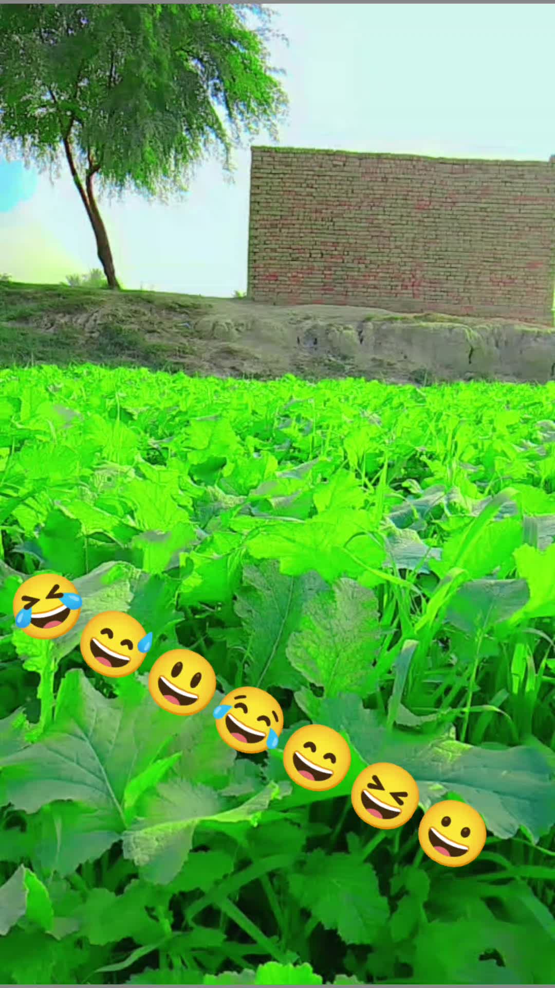 @bhai jaan