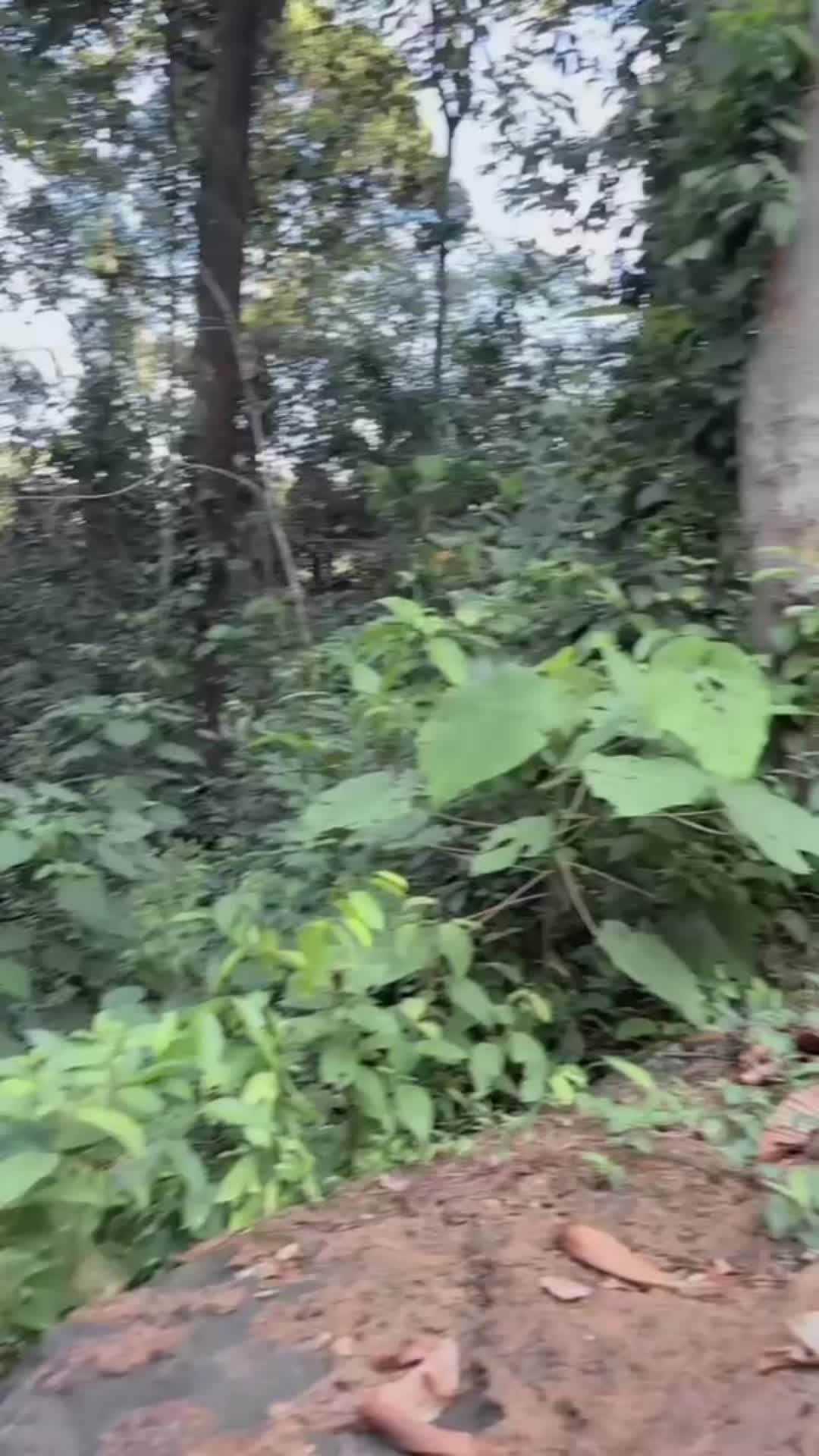 @Vishari_Nimhira🧚&zwj;♀