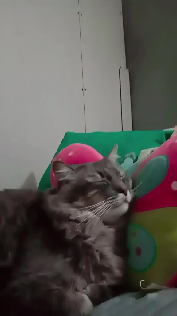 @Natalia Facenta
