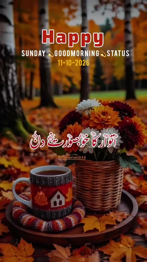 @user7998216000994