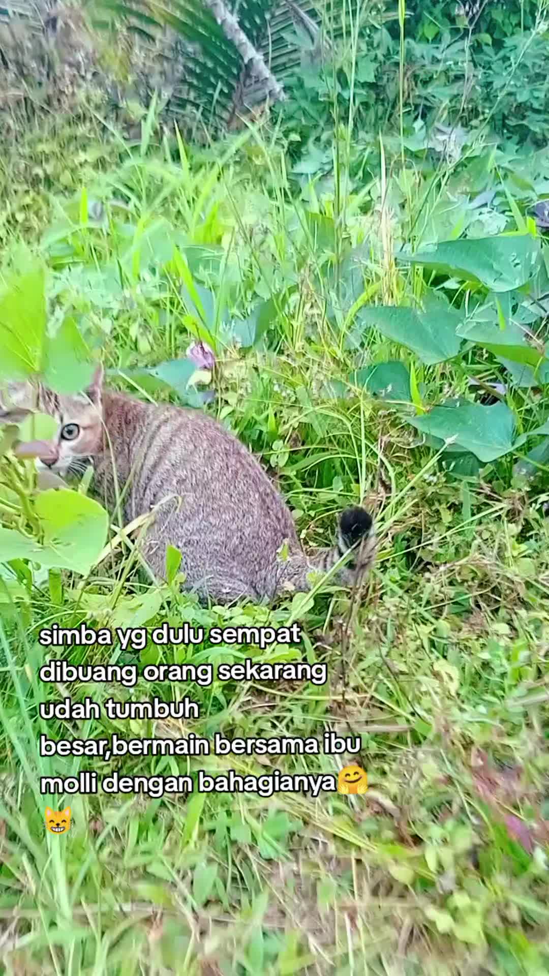 @Lina herlina