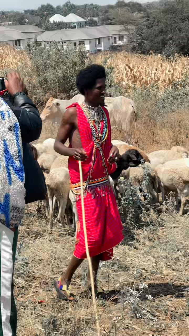 @Nyangulo _janja
