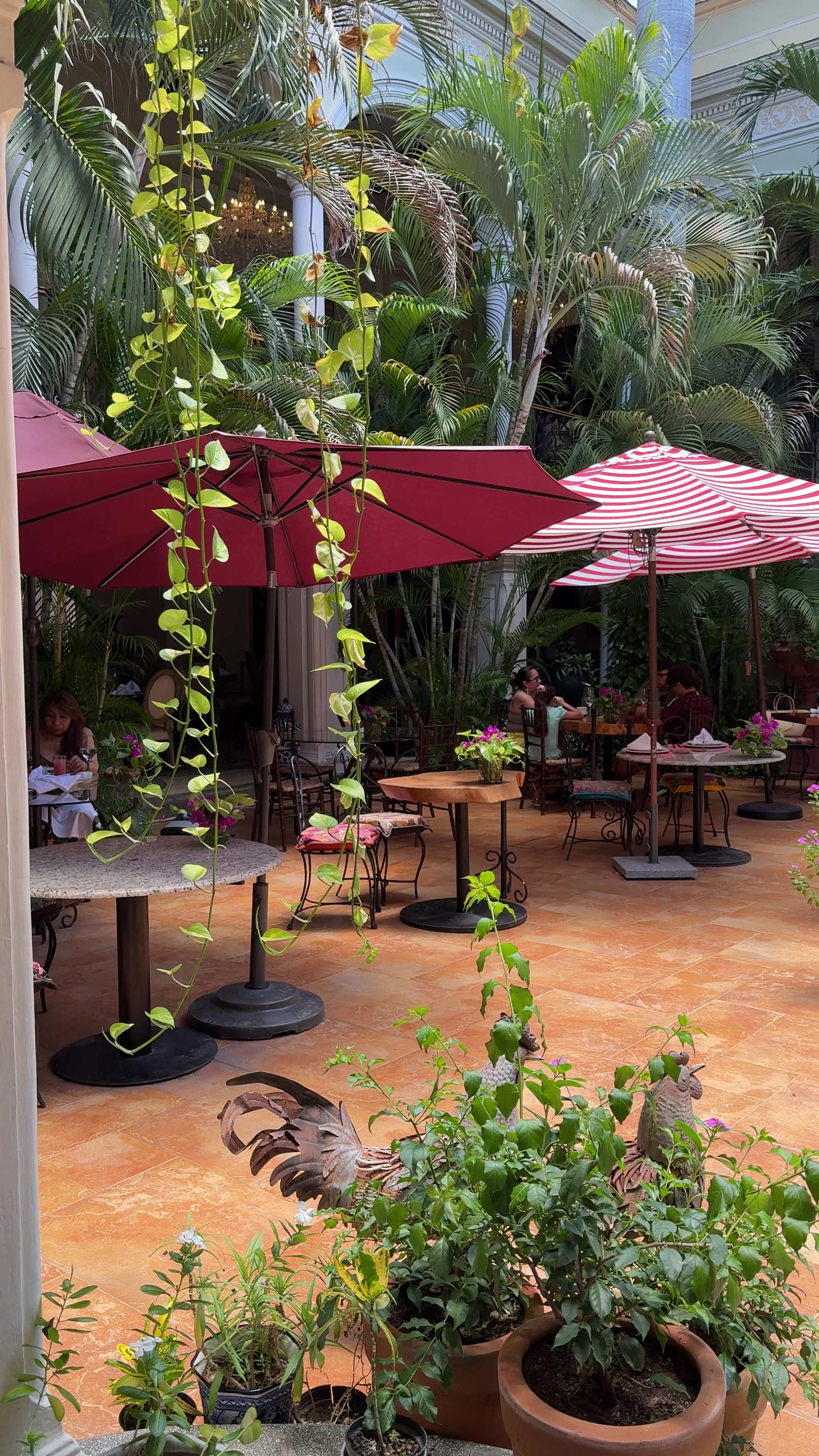 @Mansi&oacute;n M&eacute;rida Hotel boutique