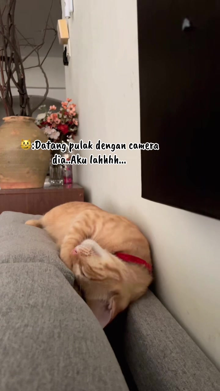 @JANGAN Teng🅾️k