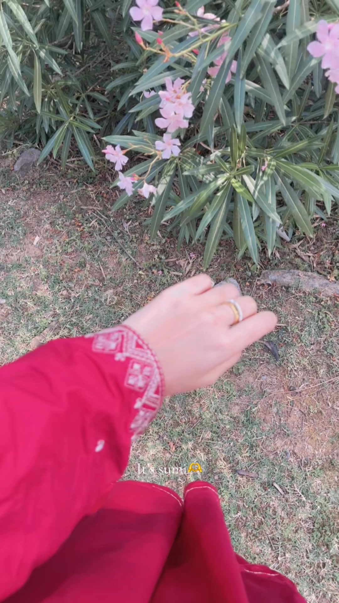 @𝑰𝒕𝒔 𝒔𝒖𝒎𝒊𝒊🌸🫶👀