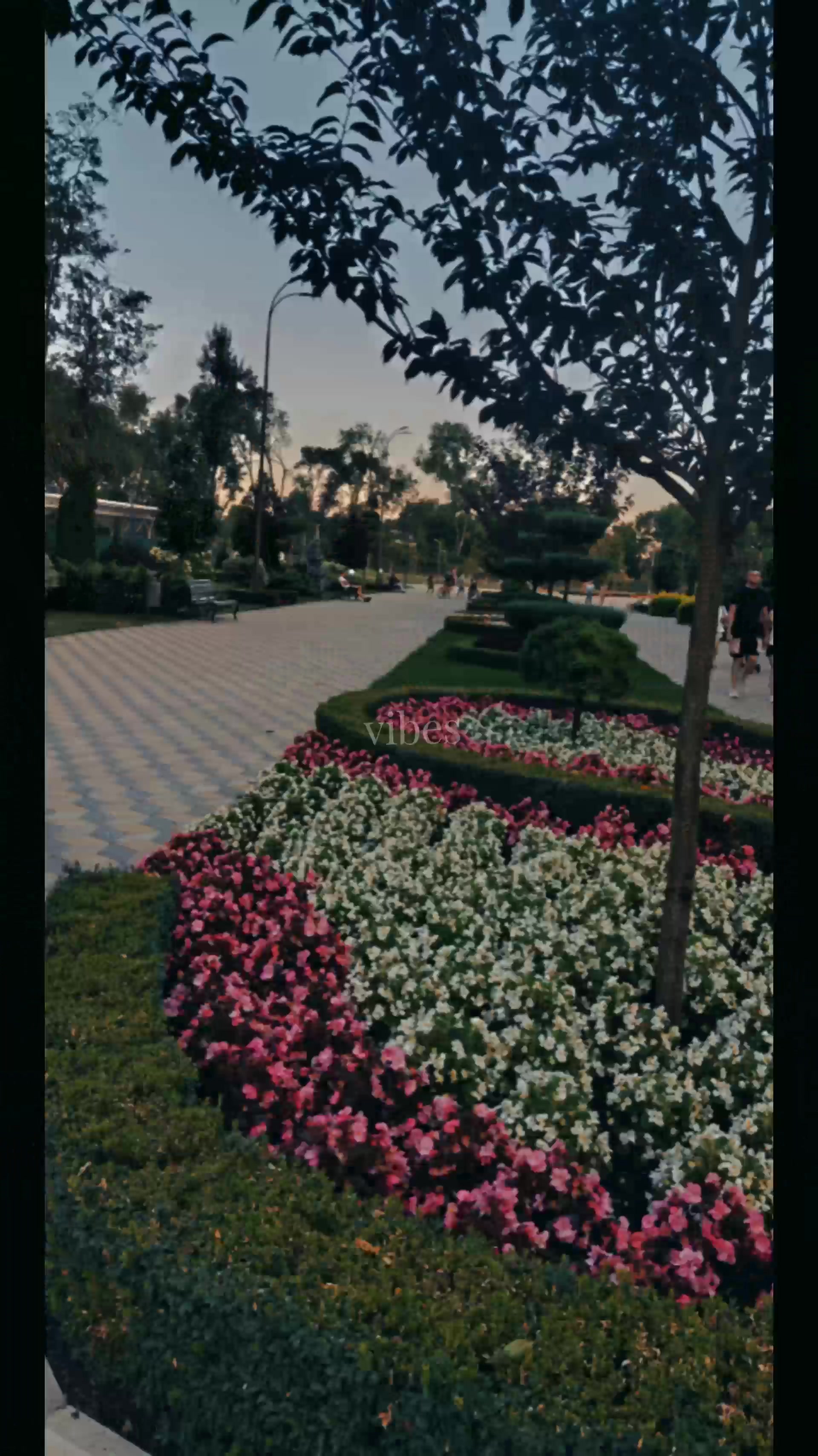 @Крис