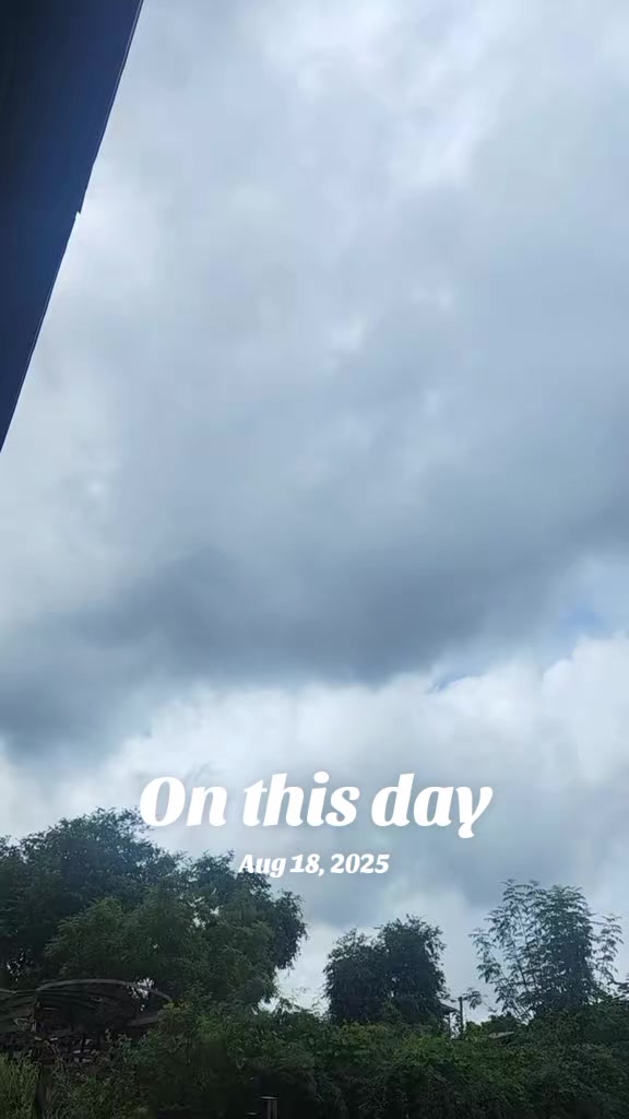 @🇲🇲🇳🇱리오ㅑ안개🇲🇲🇳🇱