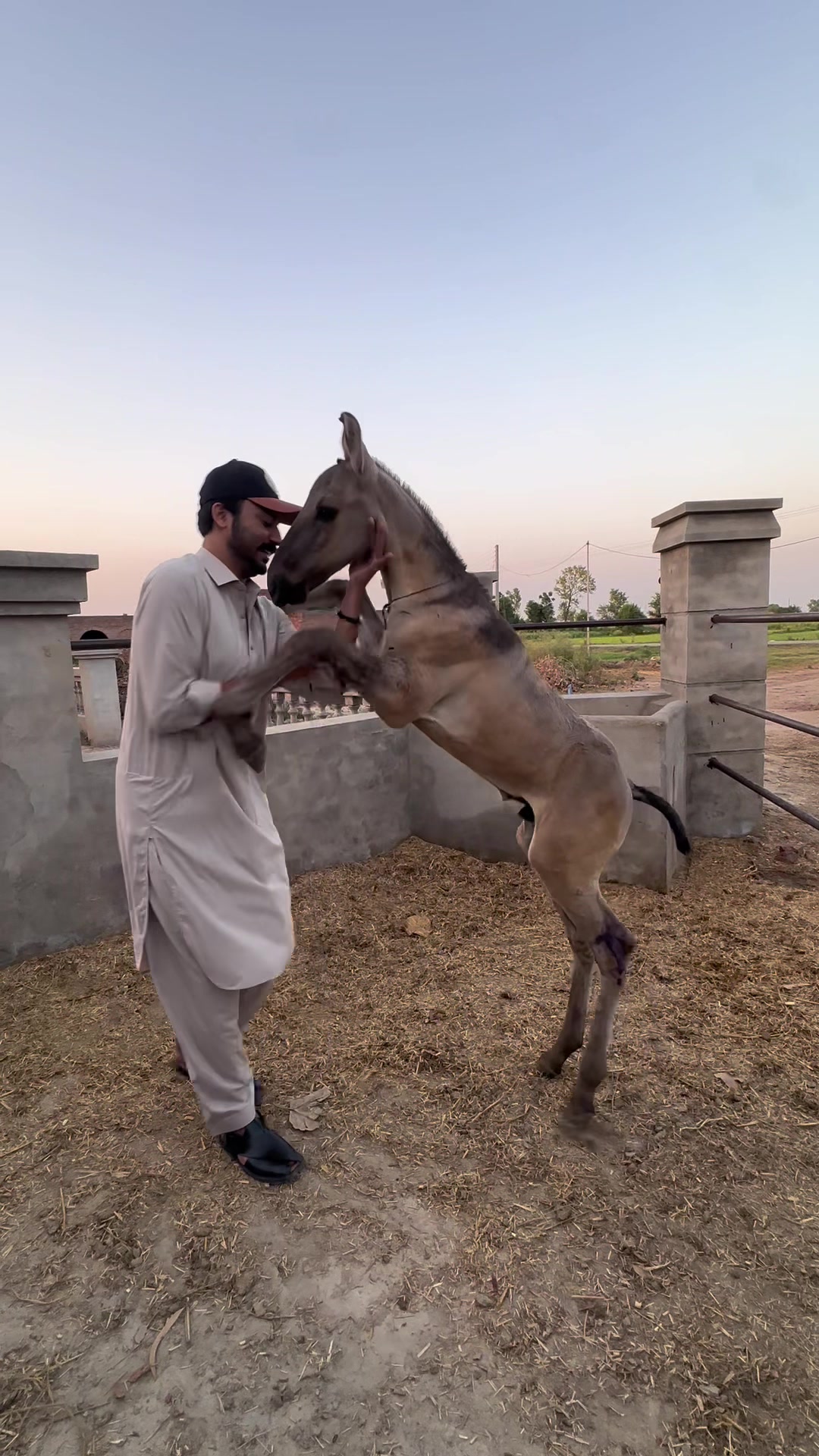 @ملک ابراھیم اعوان⚜️
