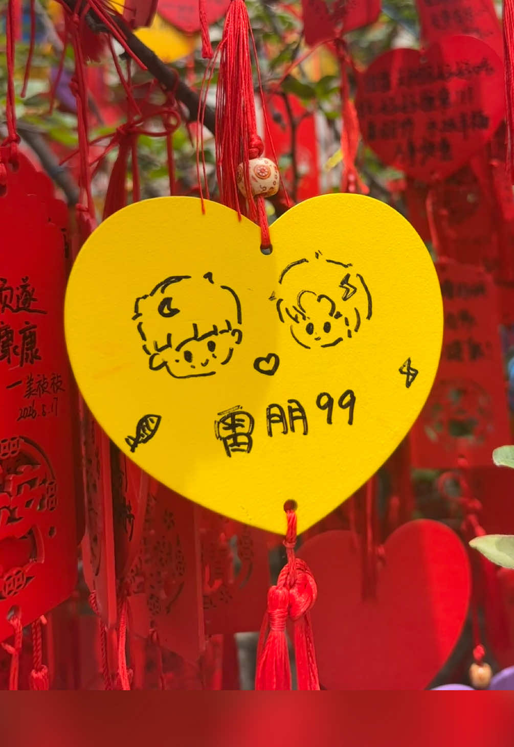 @我只在乎这一条小鱼