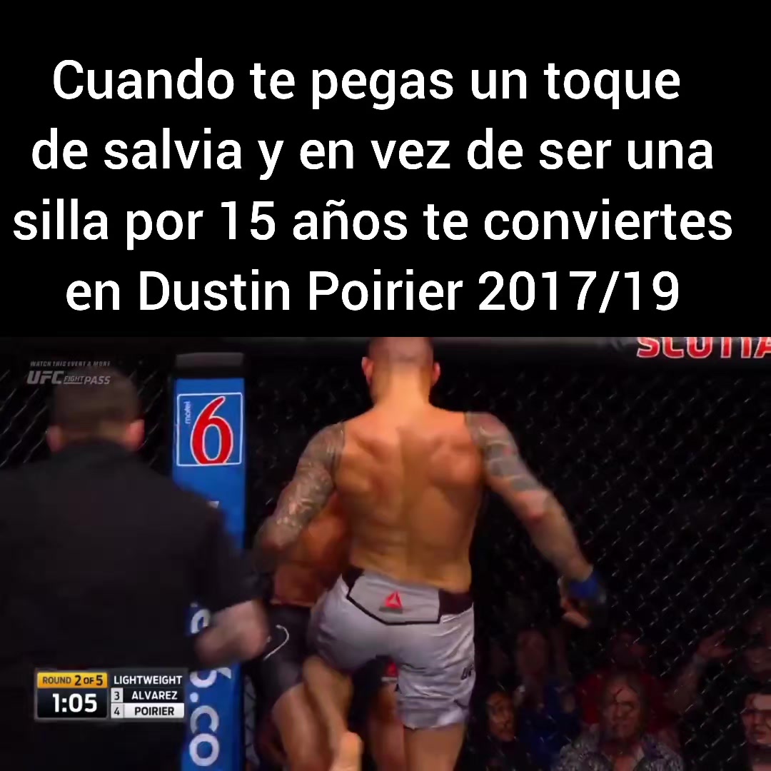 @UFC maniac