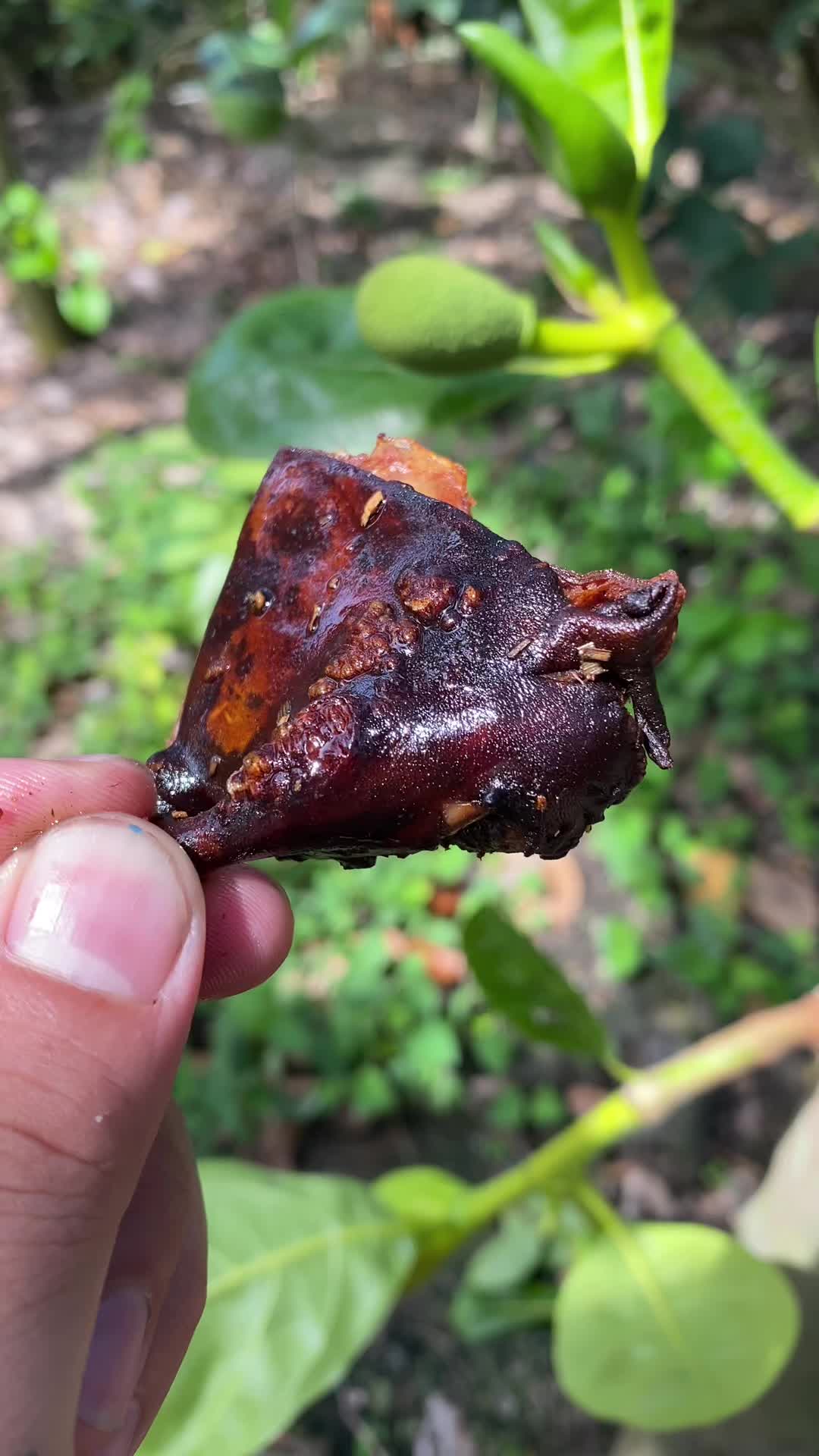 @L&ecirc; Quyền