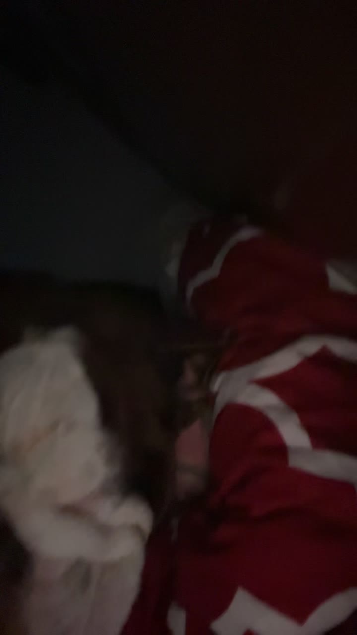 @imsupersteph