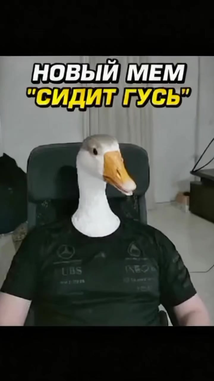 @Пинуча Гулобокий