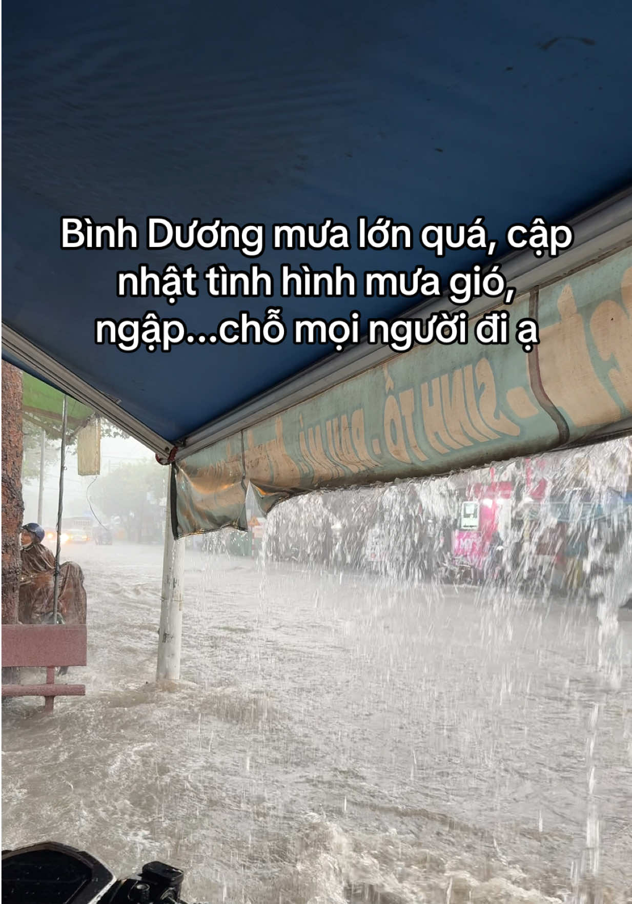 @RÌ VIU BÌNH DƯƠNG