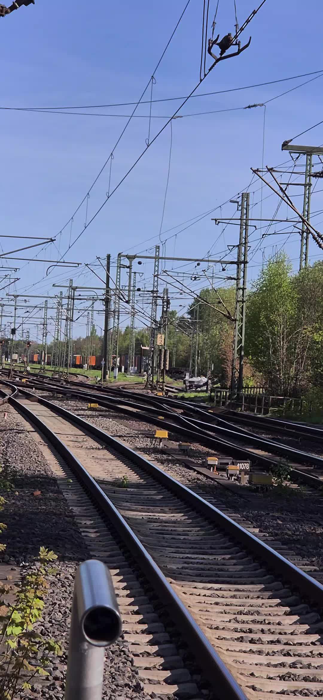 @trainspotter_krabbe