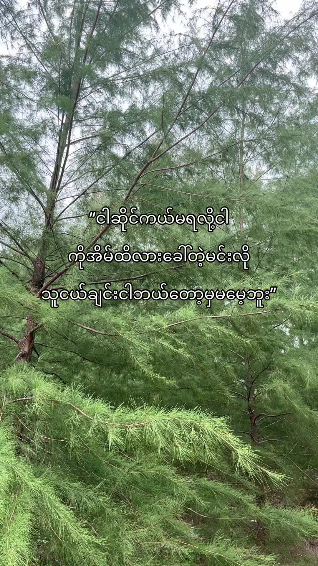 @ရှမ်းတူကရင်ရုပ်မွန်မ