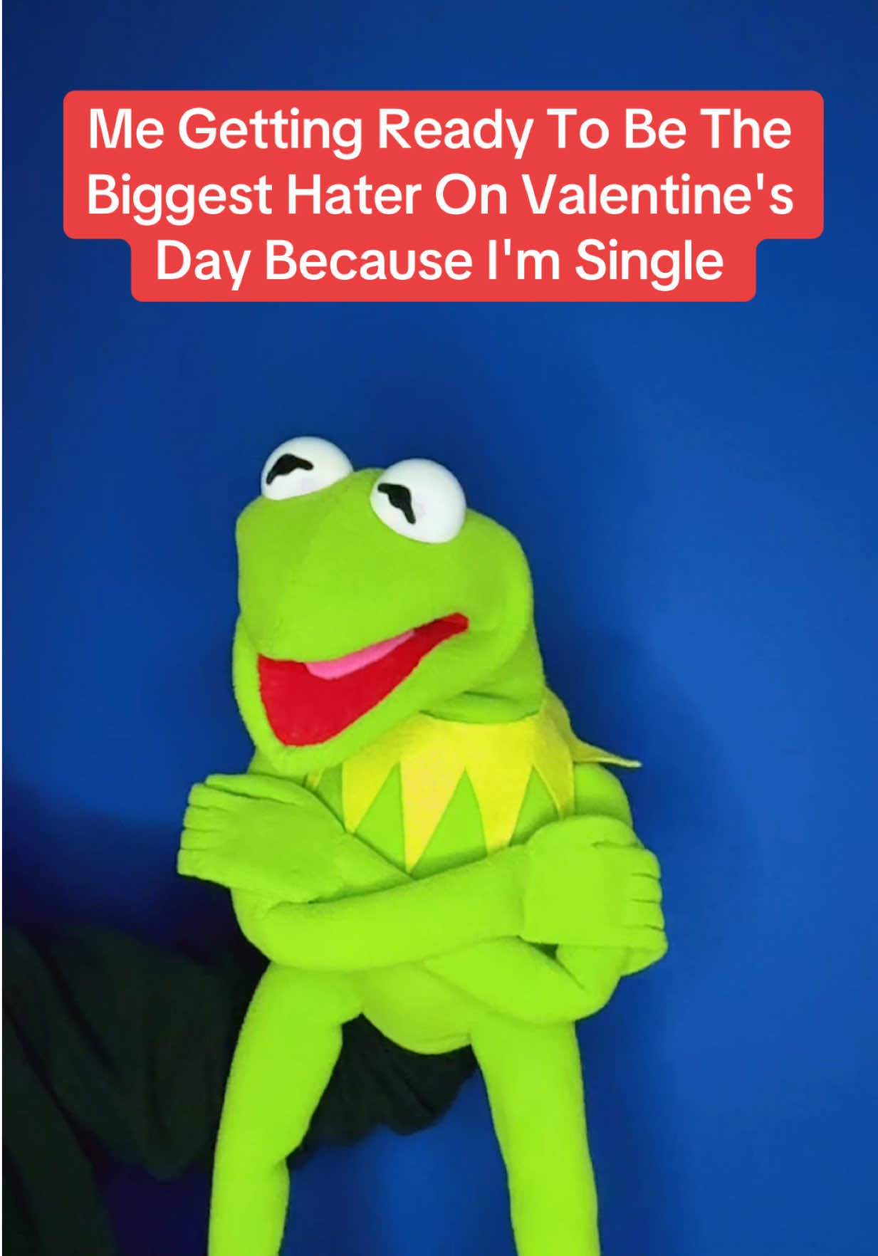 @Kermitthepuppet
