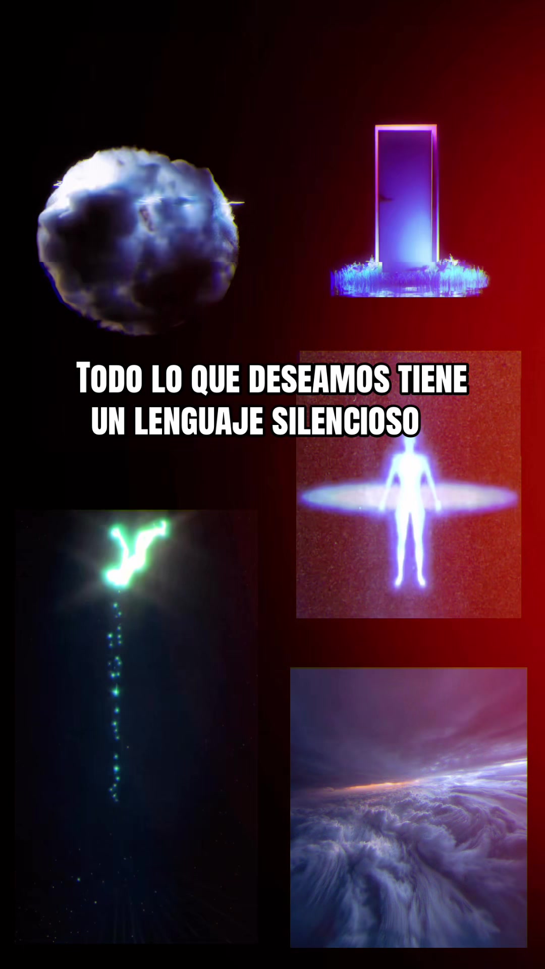 @YoSoy_Tani