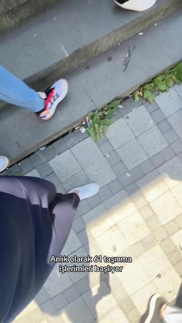 @aysegulldemiray_