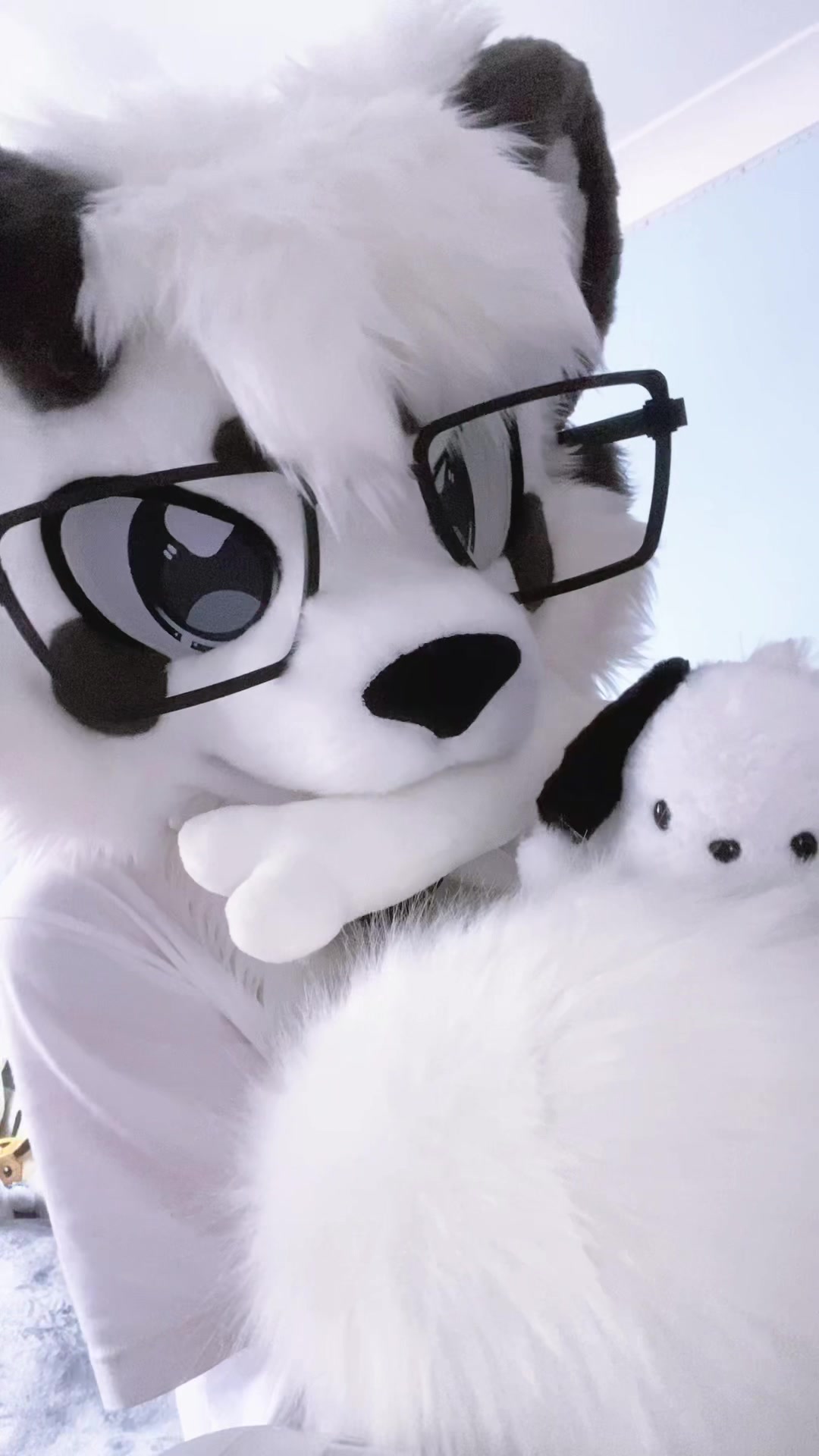 @🎬Lykoi🐾