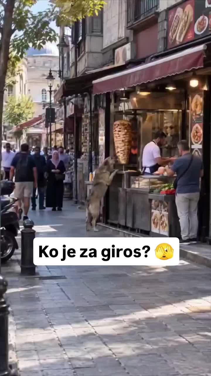 @Yeh Kali Kali ankhe 👀