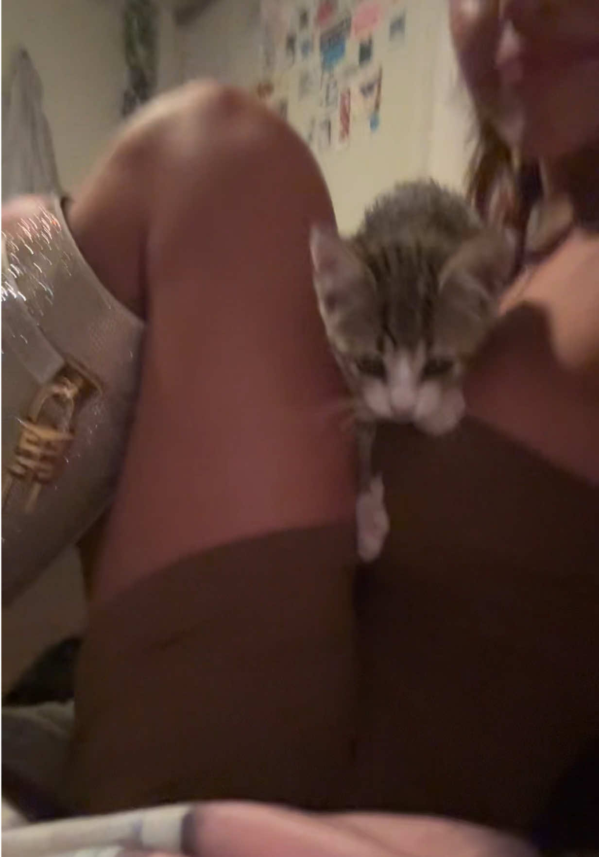 @heidi roe